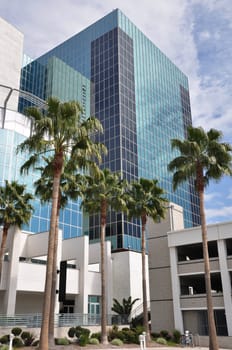 Palm trees reach skyward in front of an office tower in Riverside, California.