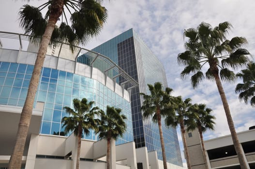 Palm trees mix in with modern architecture in downtown Riverside, California.