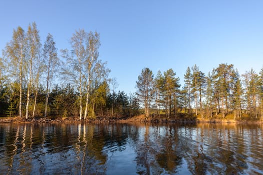 Sunrise in Forest, view from the water.