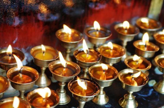 Group of yak butter lamps in a Tibetan lamasery