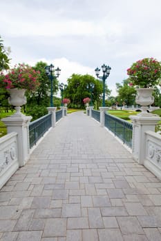 bridge in park