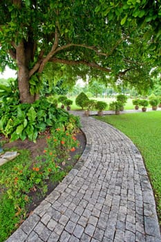 walkway in garden