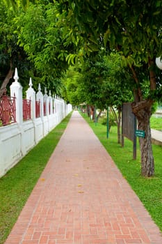 walkway in garden
