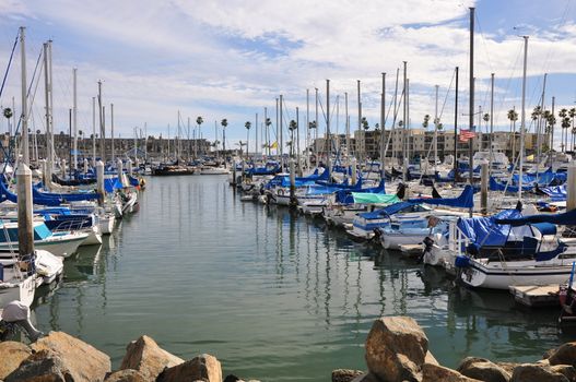 View of yachts at a harbor in Oceanside, California.