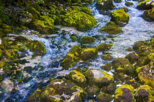 mountain stream, rocks covered with lichen