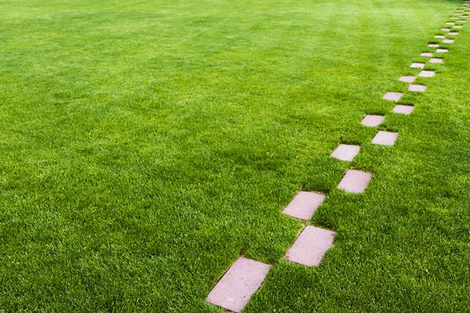 Pathway of stone bricks leadin up and away at an angle in a grass field. Who knows where it leads?