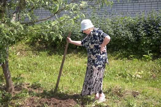 The old woman with a chopper works in a kitchen garden