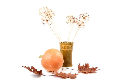 Pumpkin dry flowers and leaves isolated on a white background