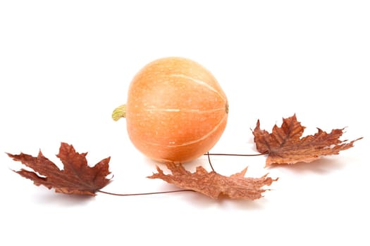 Pumpkin and dry leaves  isolated on a white background