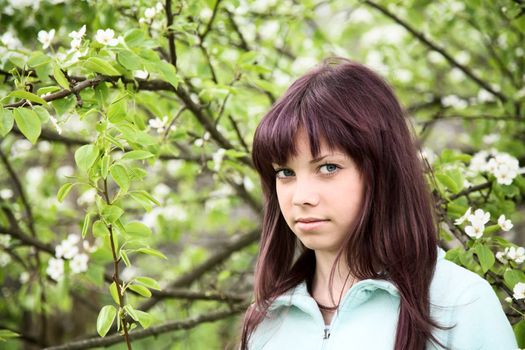 girl  teenager against a blossoming pear in the spring afternoon