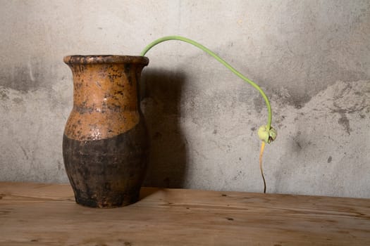 Still-life with an old jug against a cement wall