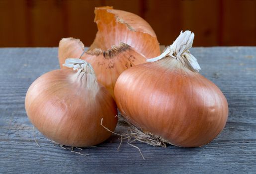 Onions and peel on a table from unplaned boards