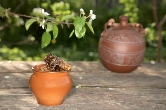 Honey in  pot against a blossoming pear