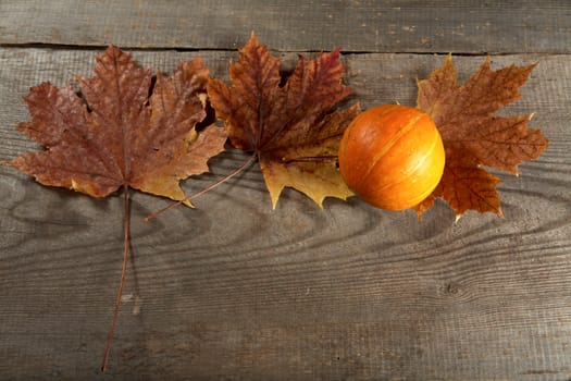 Dry leaves of  maple and pumpkin on a table from unplaned boards