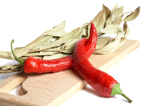 Pods of pepper and bay leaf branch on a white background