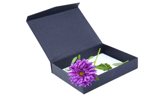 Open gift box with  flower isolated on a white background