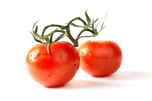 Red tomatoes with green leaves on a white background