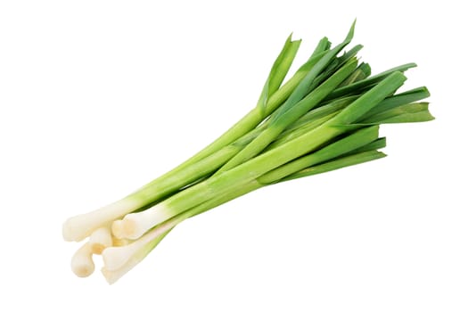bunch of garlic shoots and fresh cut and isolated