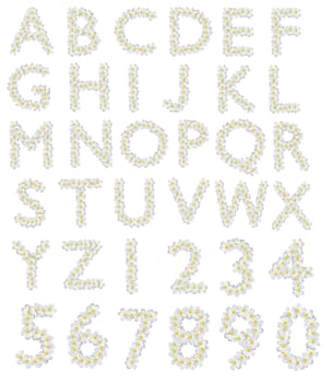 Plumeria alphabet on white background