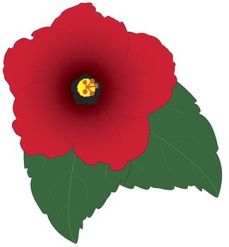 An illustration of a red Hibiscus with green leaves