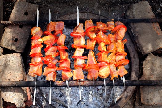 barbecue cooking on the nature