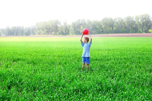 boy play with a ball in the summer field