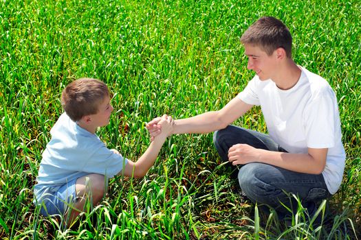 happy brothers shake hands in the summer field