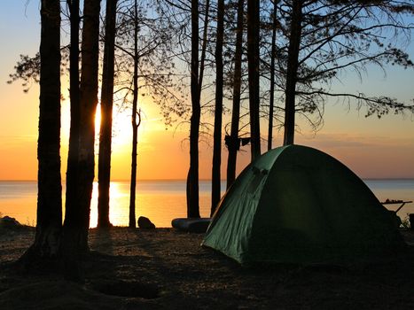 tent in the forest on sunset background