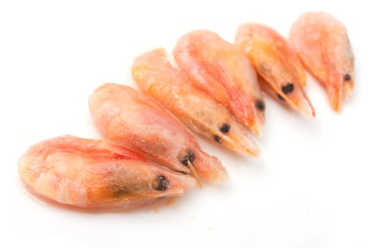 prawns on a white background