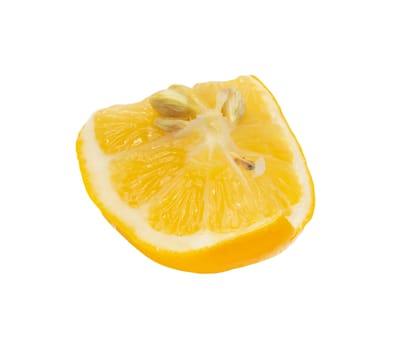 lemon on a white background