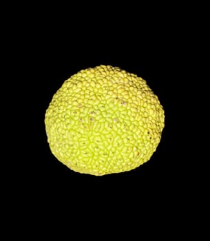 citrus green on a black background