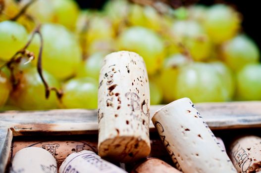 Wine corks in the frame close up