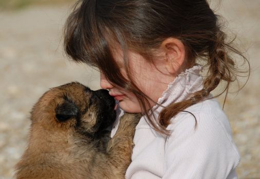 sad child and her very young puppy belgian shepherd