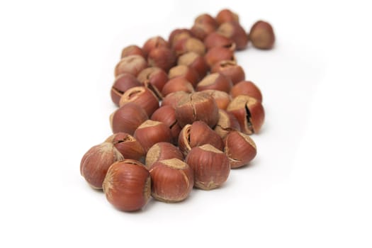 hazelnuts on a white background