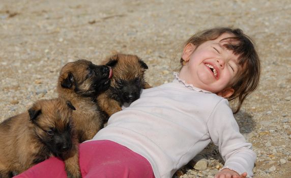 laughing little girl and young puppies purebred belgian shepherds