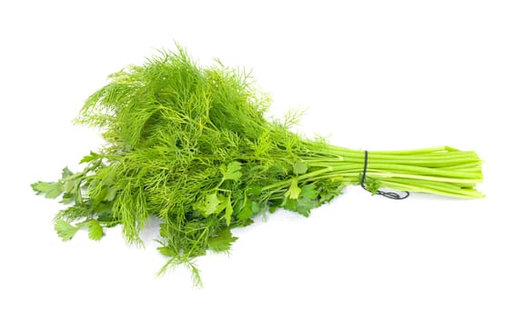 dill and parsley isolated on a white background 