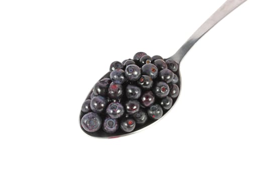 Spoon full of fresh blueberries, isolated on white