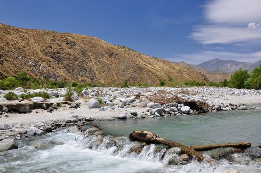 The Whitewater River rushes over fallen logs in the high desert near Palm Springs, California.
