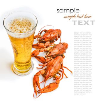 the red lobster with a glass of beer on white background