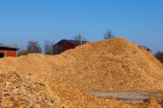 Large Sawdust stacks at the factory