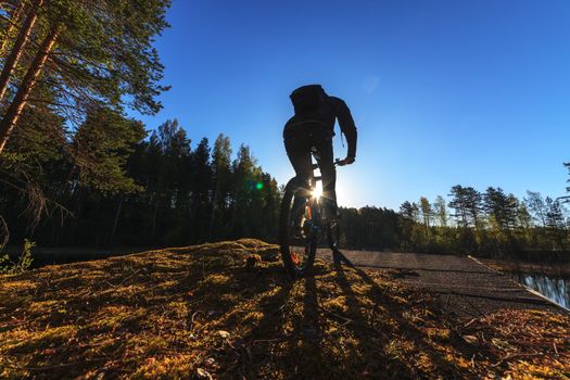 Biker Riding a Mountain Bike in a Forest