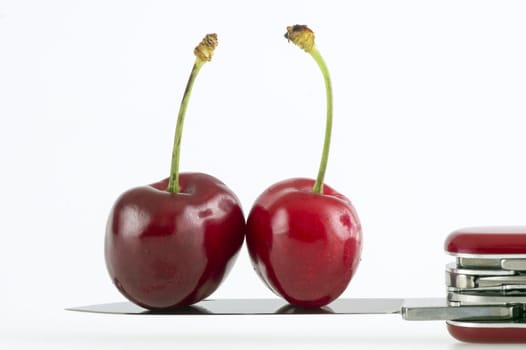 Two fresh red cherries with stem on top of a blade of a swiss army knife