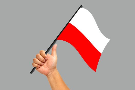 Hand holding poland flag isolated on white background
