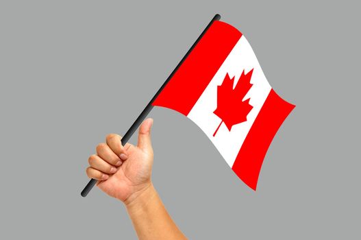 Hand holding canada flag isolated on white background