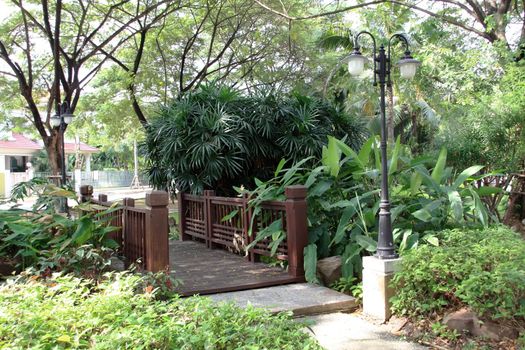 Old wooden bridge