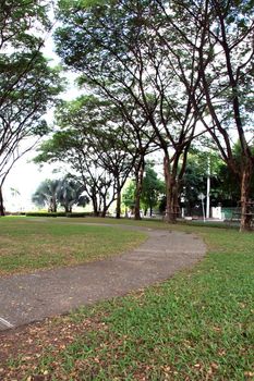 The curvy walk way of a city park