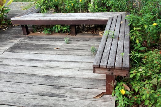 Chair in the garden