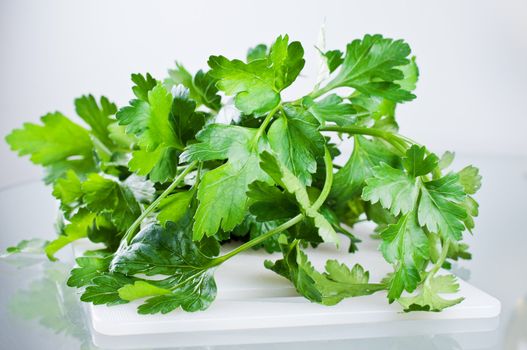 Parsley green leaf on  cutting board close up