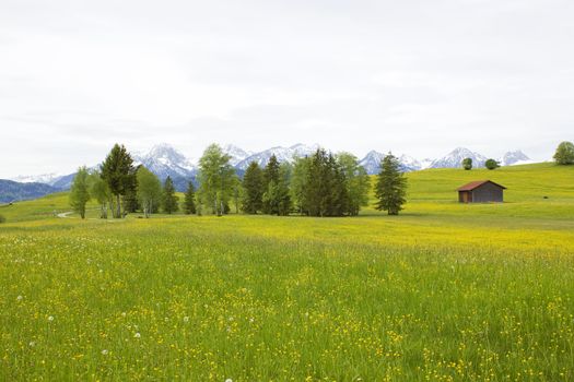 lovely panorama in the alps in Germany