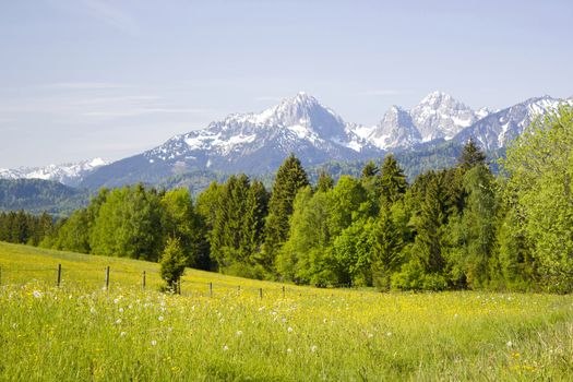 lovely panorama in the alps in Germany